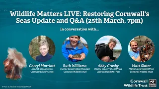 Wildlife Matters LIVE - Restoring Cornwall's Seas Update and Q&A