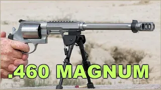 The mighty S&W .460 Revolver -  IN ACTION