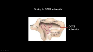 lecture 32 Pharmacophore modelling