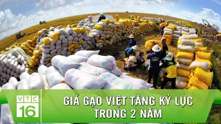 Giá gạo Việt Nam tăng kỷ lục trong 2 năm | VTC16