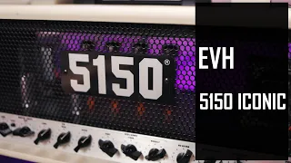 EVH 5150 Iconic - Le petit qui joue aux grands..?