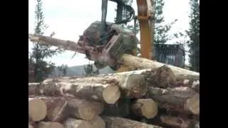 flavell logging