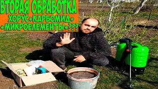 Без этого эффективного опрыскивания не обойтись-хорус+карбомид+???