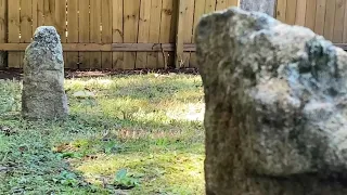 Man discovers 40-50 graves of enslaved people on newly purchased property, unlocking past secrets