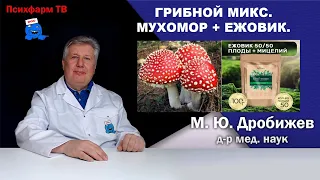 Грибной микс. Мухомор + ежовик.