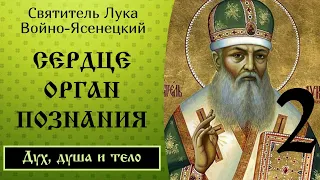 2/24 Сердце, как орган высшего познания. Ч.1 ☦️ Лука Войно-Ясенецкий