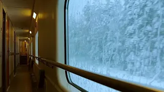 10 Hour Train Ride Through a Winter Forest in Russia | White Noise Sleep Aid ASMR