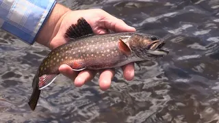 Fishing in Wyoming's Wind River Range