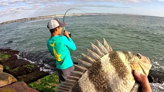 Jetty Sheepshead Fishing with live shrimp! EPIC RESULTS and interesting Facts!!Corpus Christi TX