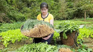 Harvest The Vegetable Garden Goes to Market sell - Cooking | Nhất Daily Life