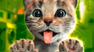 CUTE LITTLE KITTEN ADVENTURE - FUNNY KITTY & FRIENDS ADVENTUROUS JOURNEY CARTOON VIDEO