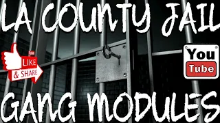 LA COUNTY JAIL-GANG MODULES PART 1