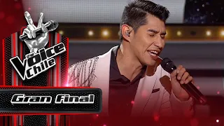 Roberto Lobos - Precisamente ahora | Gran Final | The Voice Chile