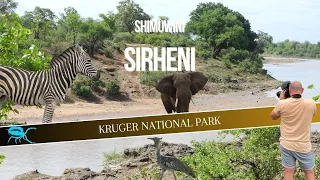 KRUGER NP | Shimuwini to Sirheni | The one with Bullfrogs and Scorpions