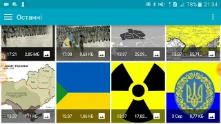 УКРАЇНСЬКА НАРОДНА РЕСПУБЛІКА , ЗЕЛЕНИЙ КЛИН, ЖОВТИЙ КЛИН, СІРИЙ КЛИН, ЖОВТИЙ КЛИН, МАЛИНОВИЙ КЛИН