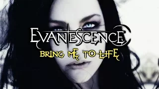 Evanescence - Bring me to life(Sub Español + Lyrics)