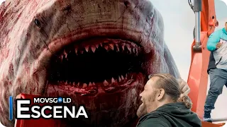 Megalodón (2018) La muerte del Megalodón [6/10] (Español Latino) HD