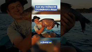 Как мы поймали трофейного Леща на Днепре! #shorts #bream #лещ #рыбалка #fishing #fvu #feeder #фидер