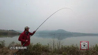 钓鱼 大毛钓到野生大鲫鱼兴奋不已，紧接着野生大鲤鱼也来“报到”！