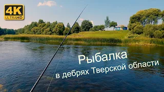 Рыбалка на малой реке в дебрях Тверской области. Август 2022