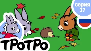 TPOTPO - 🍁Серия 37🍁 - Тротро и ёжик