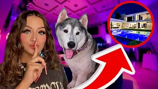 I TOOK MY DOG TO A LA PARTY ! 16 & Living Alone !