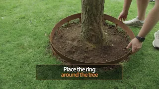 How to Create PERFECT Circular Edges Around Trees!