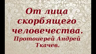 За что страдает праведник. Разбор книги Иова. Протоиерей Андрей Ткачев.