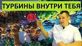 Нанотурбины в клетках. СУПЕР ТЕХНОЛОГИЯ ПРИРОДЫ - Синтез АТФ.