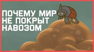 Edu: Почему мир не покрыт навозом