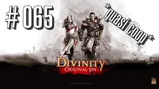 [Let's Play] Divinity: Original Sin [065][Die weiße Hexe] [GER][HD+]