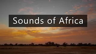Calm night in the Sahel - Nature sounds