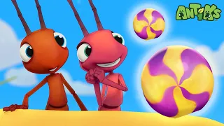 Doces Deliciosos para Formigas! | MEIA HORA DE ANTIKS BRASIL | Desenhos Animados para Crianças!