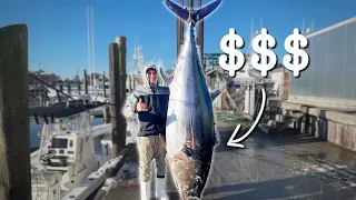 THE MOST EXPENSIVE FISH ON EARTH! Commercial GIANT Bluefin Tuna!!!