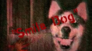 "Smile Dog" ASMR Version