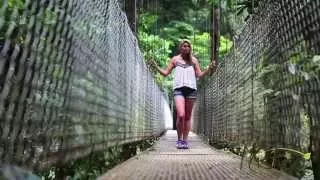 Mistico - Arenal Hanging Bridges Park  - Costa Rica