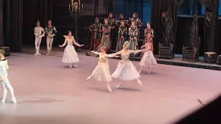 «Лебединое озеро» невесты #большойтеатр #ballet #bolshoitheatre #swanlake #dancer