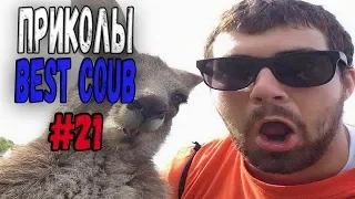 #ПРИКОЛЫ за Май 2018 | BEST COUB 2018 ▶ 21