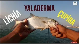 Çupra Yaladerma Liçhia  / Atçek Spin Balık Avı Tavsiyeleri