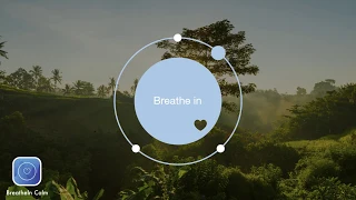 BreatheIn Calm App | 2 min Breathe Bubble | Breathing Exercise Jungle