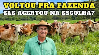 ELE MOSTROU COMO É A LIDA NA FAZENDA CRIANDO GIR LEITEIRO