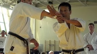 Kanku Dai Kata by Mikio Yahara. Seminar in Moscow 2009 (part 4)