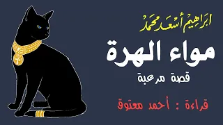 مواء الهرة (قصة مرعبة) .. ابراهيم اسعد محمد .. الكتاب المسموع