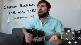 Есенин — Кукрыниксы (Пой же, Пой!) | Русские рок песни под гитару | (cover by G.Andrianov на гитаре)