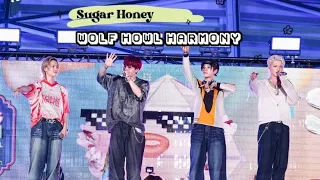 [FANCAM] 240415 WOLF HOWL HARMONY - Sugar Honey #SUPERFLUID2024