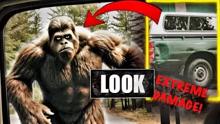 Bigfoot Vs Truck - This Is INSANE #bigfoot #truestory