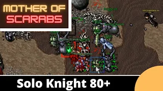 Mother of Scarabs [Tibia Solo EK 80+]