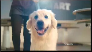 PetSmart Commercial with Runway Pets