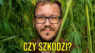 Co się dzieje po zapaleniu ⅄NⱯꓵHIꓤⱯW?