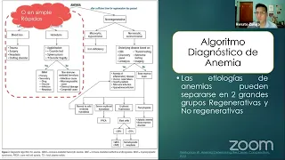 Todo lo que no sabias de la anemia hemolítica en caninos y felinos